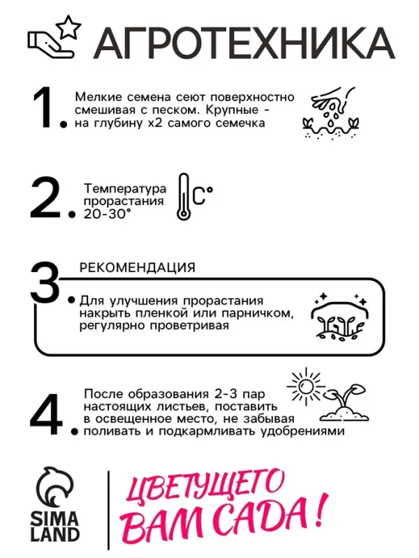 Семена цветов Пентас "Лаки стар" F1 вайт, ц/п, 3 шт