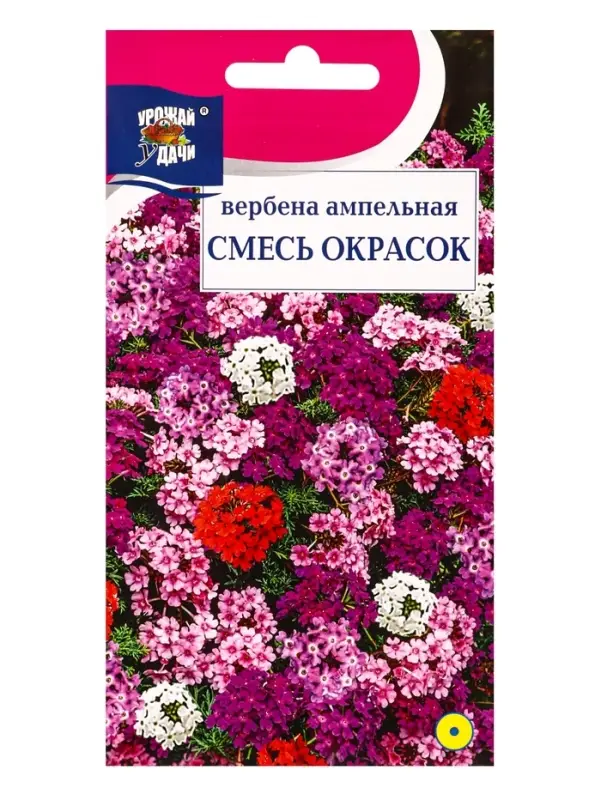 Семена цветов Вербена амп.Смесь окрасок 0,1 г.