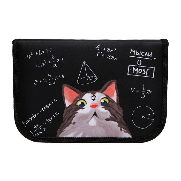 Пенал 3 секции, вкладка внутри, 140 х 210 х 40 мм, тканевый, Calligrata TOP Block Пенал 3 секции, вкладка внутри, 140 х 210 х 40 мм, тканевый, Calligrata TOP Block "Умный кот"