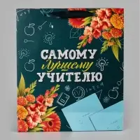 Пакеты подарочные &laquo;Учителю&raquo;, набор 3 шт., 26&times;30&times;9 см