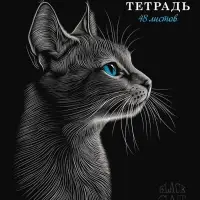 Тетрадь 48л А5ф клетка 60-65г/кв.м на скобе Обл. мел.картон мат.ламин. 3D лак МИКС