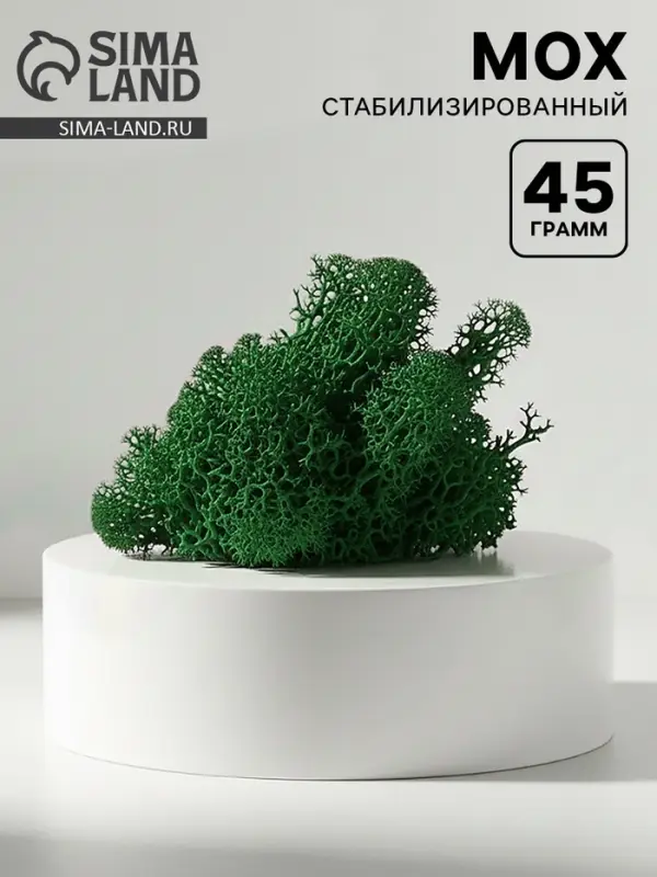 Мох стабилизированный &laquo;Ель&raquo; 45 г (&plusmn;5 г)