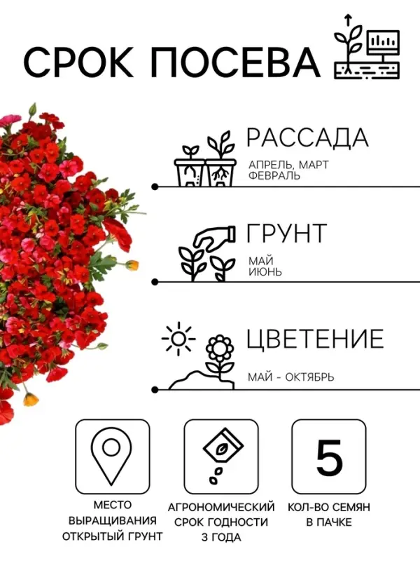 Семена цветов Петуния &laquo;Пикколино&raquo; F1, красная, драже, 5 шт.