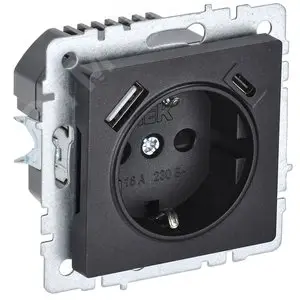 BRITE Розетка с заземлением с защитными шторками 16А с USB A+C 18Вт РЮш11-1-БрЧ черный