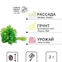 Семена Петрушка листовая &laquo;Леди Лета&raquo;, 2 г, &laquo;Семена Алтая&raquo;