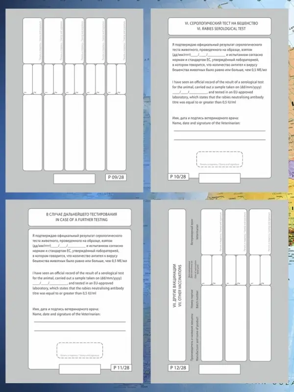 Ветеринарный паспорт &laquo;Для собаки&raquo;, 10.3&times;15.1 см, 28 страниц