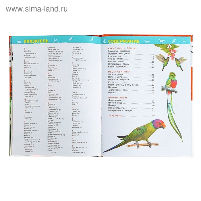 Энциклопедия для детского сада «Птицы», Гальцева С. Н. Энциклопедия для детского сада «Птицы», Гальцева С. Н.