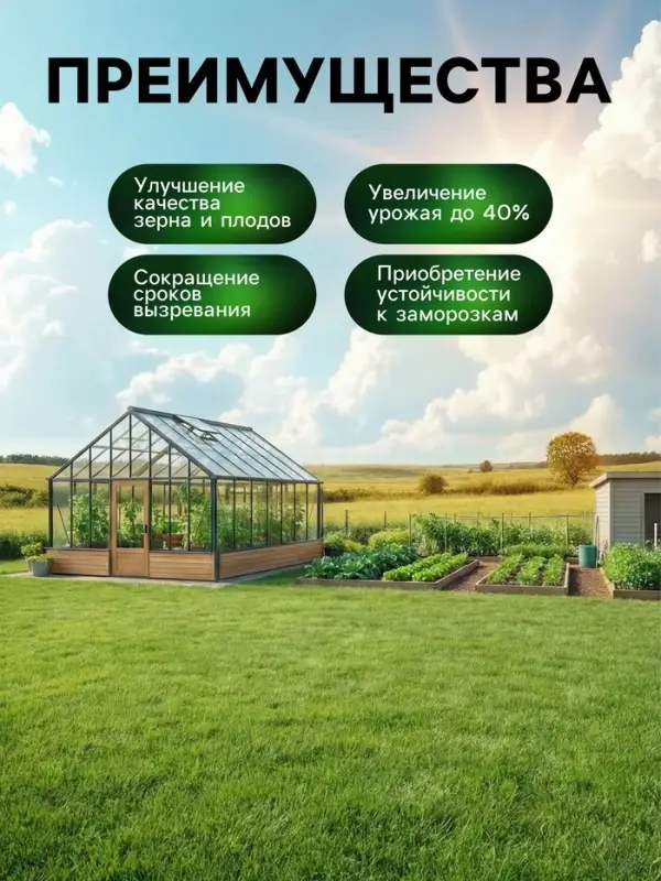 Органическое удобрение для газона Greenlife, 500 мл