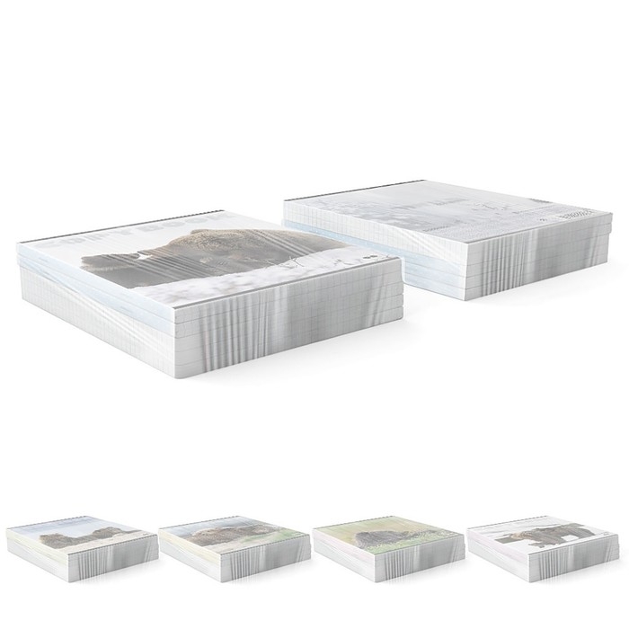 Тетрадь 96 листов в клетку, ErichKrause Тетрадь 96 листов в клетку, ErichKrause "Медведи", обложка мелованный картон, глянцевая ламинация, блок офсет 100% белизна, МИКС