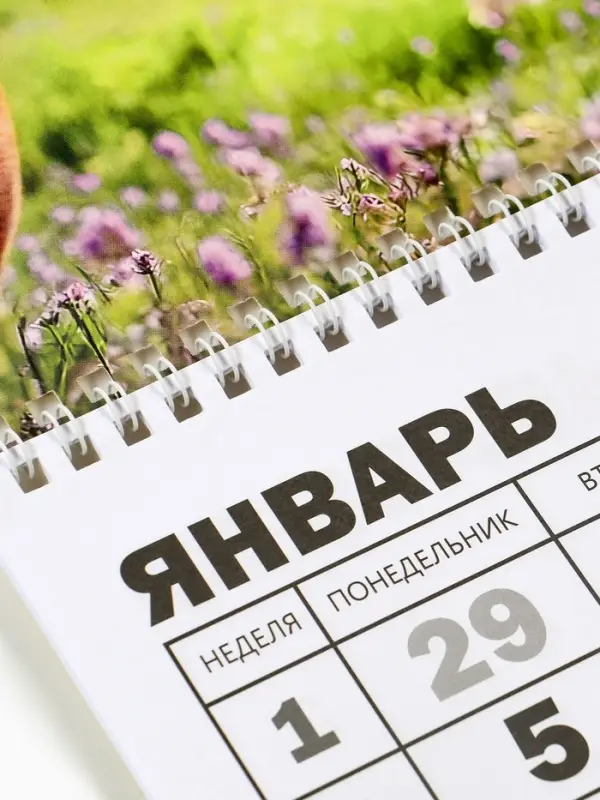 Календарь настенный квартальный 2026 &laquo;Лошадь с котенком&raquo;, 30&times;46 см