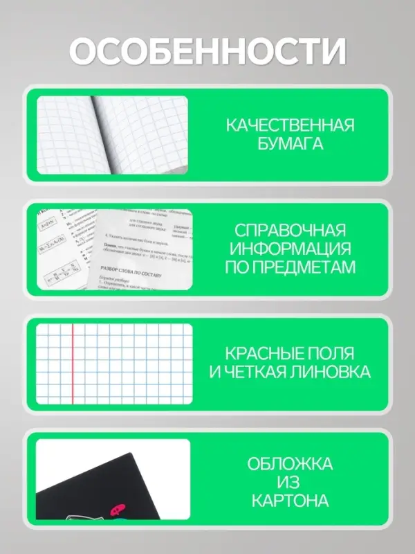 Предметная тетрадь по истории Calligrata TOP &laquo;Кеды&raquo;, 48 листов, в клетку, со справочным материалом, картонная обложка