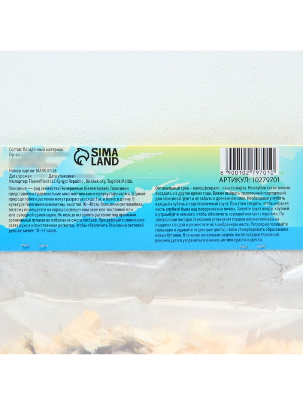 Глоксиния «Бланш де Меру», многолетник, комнатный, луковица в пакете с перфорацией, р-р 5/6, 2 шт.