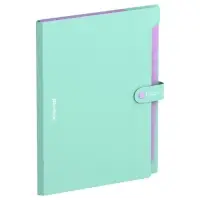 Папка А4, 12 отделений, Haze, 600 мкм, на кнопке, мятная