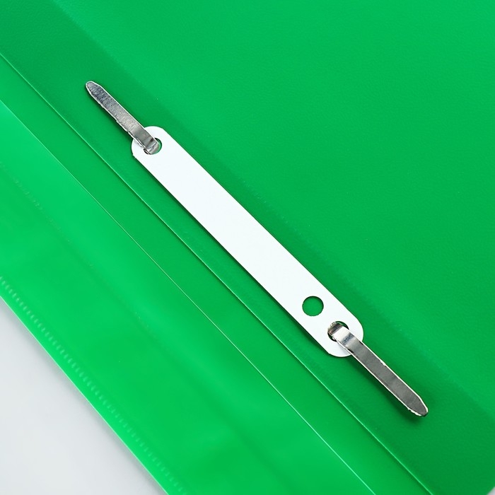 Набор папок-скоросшивателей А4, 5 штук, Calligrata, 180 мкм, с прозрачным верхом, зелёный Набор папок-скоросшивателей А4, 5 штук, Calligrata, 180 мкм, с прозрачным верхом, зелёный