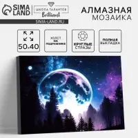 Алмазная вышивка полное заполнение "Сказочный лес", на холсте 40*50 см