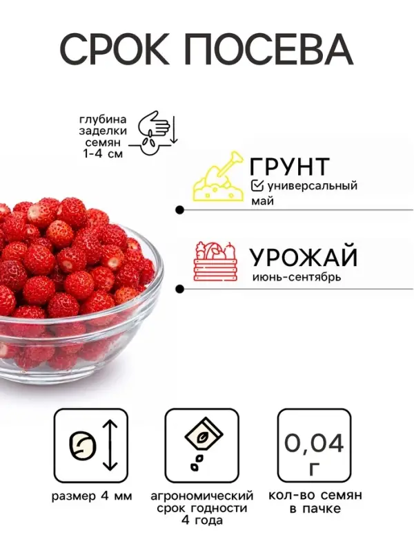 Семена Земляника &laquo;Александрия&raquo;, 0.04 г, ремонтантная, &laquo;Урожай удачи&raquo;