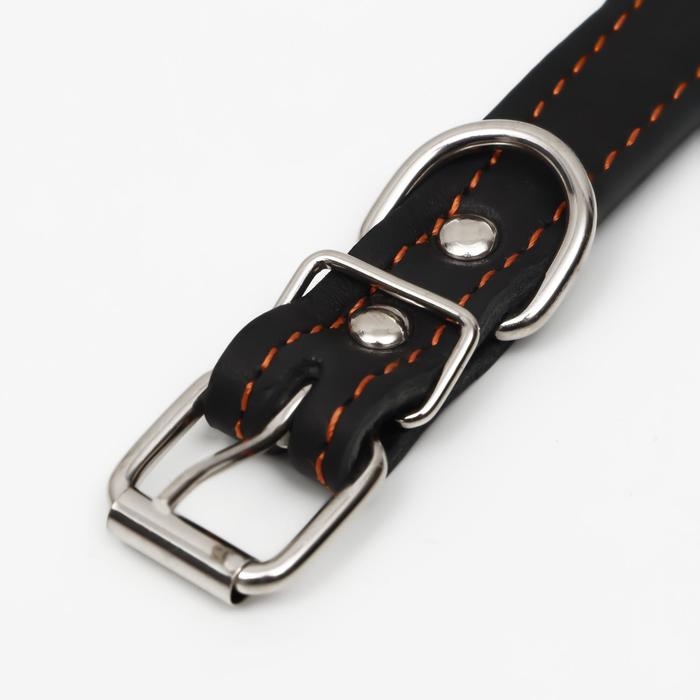 Ошейник кожаный  на синтепоне украшенный, безразмерный, 47 х 2 см, ОШ 28-39 см, чёрный Ошейник кожаный  на синтепоне украшенный, безразмерный, 47 х 2 см, ОШ 28-39 см, чёрный