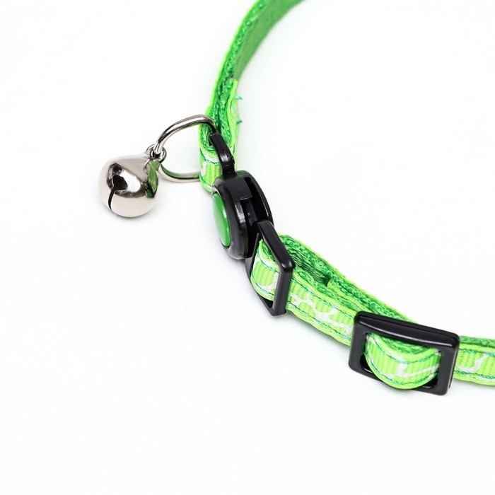Ошейник кошачий Ошейник кошачий "Жираф", 30 х 1 см, зелёный