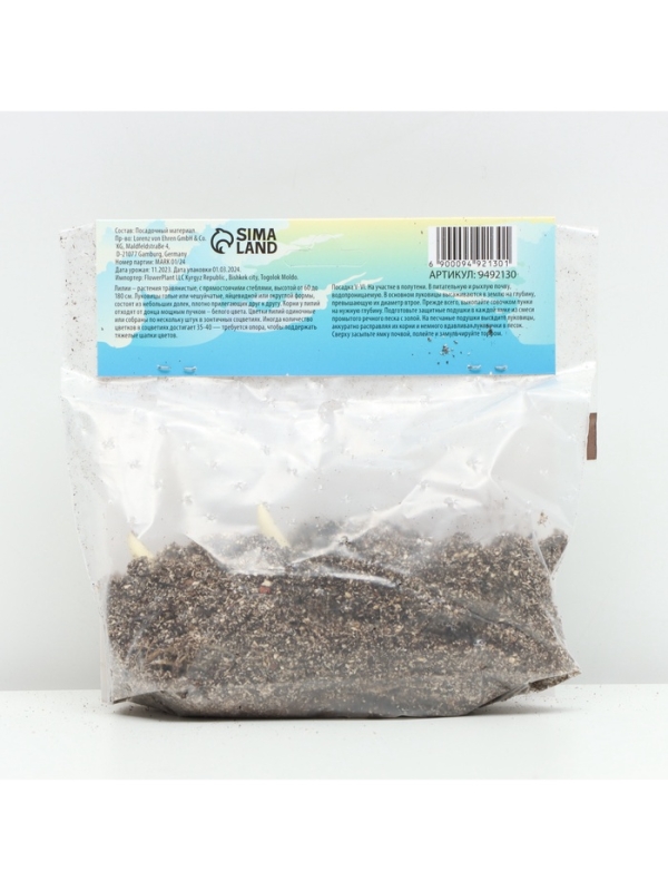 Лилия Азиатская Кашпо Gwen, луковица в пакете с перфорацией, р-р 12/14, 2 шт.