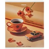 Комплект 12 предметных тетрадей 48 листов, справочная информация, 60гр, Предметы