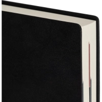 Ежедневник датированный 2026 ESCALADA А6+ (126х174мм), 176л, черный 70297