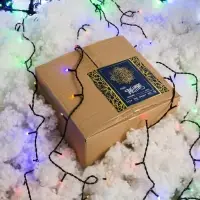 Гирлянда &laquo;Занавес&raquo; 2&times;6 м, IP44, УМС, тёмная нить, 1440 LED, свечение мульти, 220 В