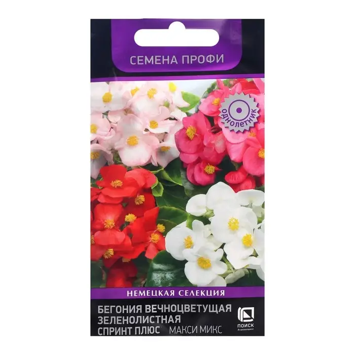 Семена цветов Бегония вечноцветущая зеленолистная  Семена цветов Бегония вечноцветущая зеленолистная "Спринт Плюс Макси", Микс, 10 шт.