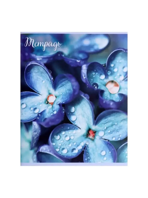 Тетрадь 96 листов в клетку &laquo;Цветы&raquo;, серые листы, МИКС