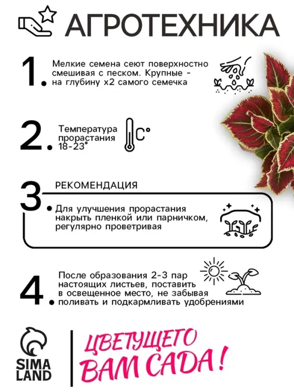 Семена цветов Колеус &laquo;Радуга - Фестиваль танца&raquo;, F1, 10 шт., &laquo;Престиж семена&raquo;