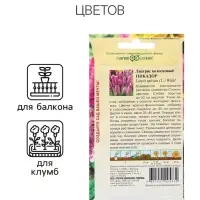 Семена Лиатрис "Пикадор", ц/п, 0,05 г Семена Лиатрис "Пикадор", ц/п, 0,05 г