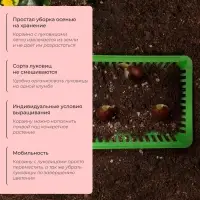 Корзина для луковичных, квадратная, 25×20 см, зелёная, Greengo