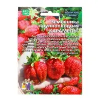 Семена Земляника &laquo;Карамель&raquo;, 10 шт., крупноплодная, &laquo;Уральский дачник&raquo;