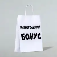 Пакет бумажный подарочный новогодний крафт «Новогодний бонус», белый, 28×24×14 см