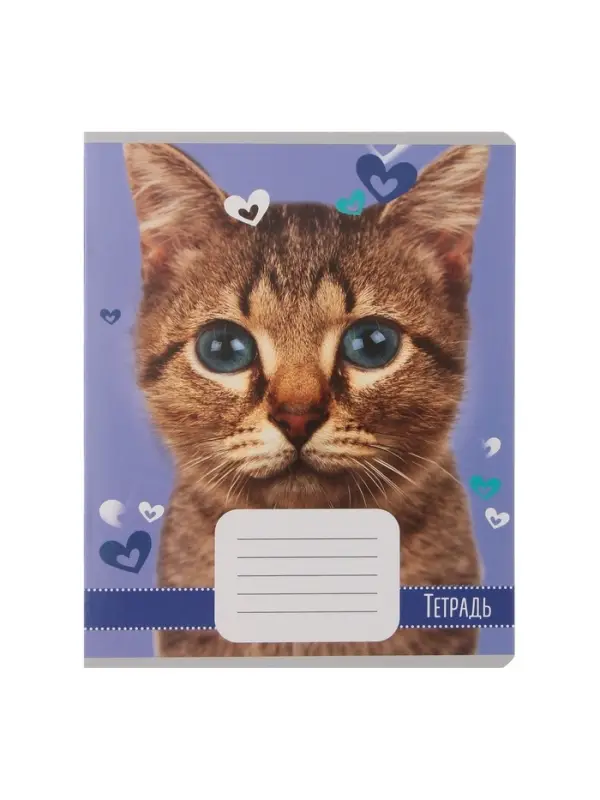 Комплект тетрадей из 10 штук, 18 листов в линию Calligrata "Домашние животные", обложка мелованный картон, ВД-лак, блок офсет, 5 видов по 2 штуки