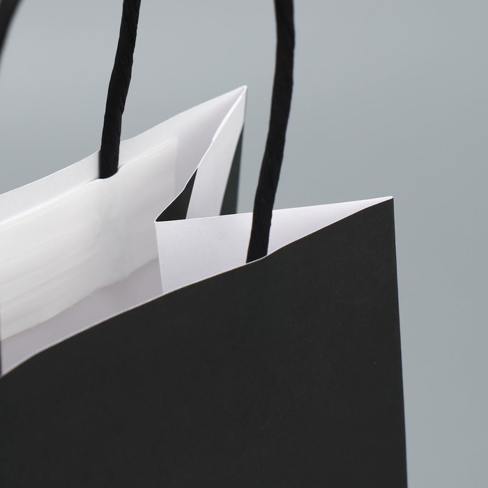 Пакет подарочный крафтовый, упаковка, «Королева», 12 х 21 х 9 см Пакет подарочный крафтовый, упаковка, «Королева», 12 х 21 х 9 см