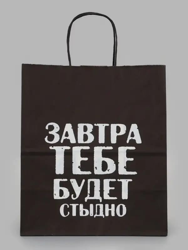 Пакет подарочный &laquo;Завтра тебе будет стыдно&raquo;, 24&times;14&times;28 см, крафт