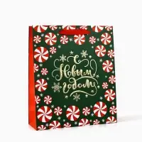 Пакет подарочный новогодний ламинированный &laquo;Новогодние чудеса&raquo;, тиснение, M 30&times;26&times;9 см