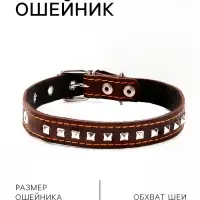 Ошейник украшенный, 45&times;2 см, ОШ 25-35 см, на синтепоне, кожа, дизайн МИКС, коричневый