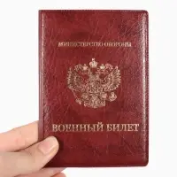 Обложка для военного билета, искусственная кожа, с гербом, 9.3&times;0.3&times;13.3 см, бордовая