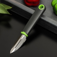 Рыбочистка Доляна Lime, 19×2,5 см, цвет чёрно-зелёный