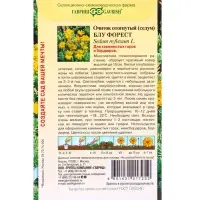 Семена цветов Очиток отогнутый &laquo;Блу Форест&raquo; 0.01 г
