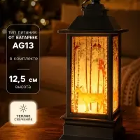 Фонарь светодиодный, декоративный, 1 LED, от батареек 3&times;AG13, свечение тёплое белое