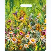 Пакет подарочный &laquo;Пленер&raquo; полиэтиленовый с вырубной ручкой, ламинированный 31&times;40 см, 30 мкм