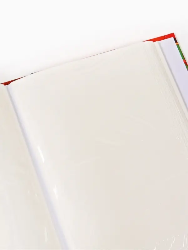 Фотоальбом на 300 фото 10&times;15 см &laquo;Мой школьные годы&raquo;