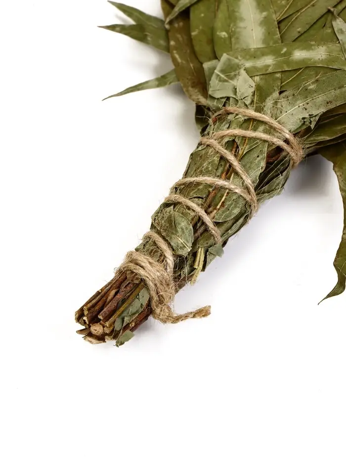 Веник для бани, эвкалиптовый, 53 (&plusmn;2) см, &laquo;Добропаровъ&raquo;