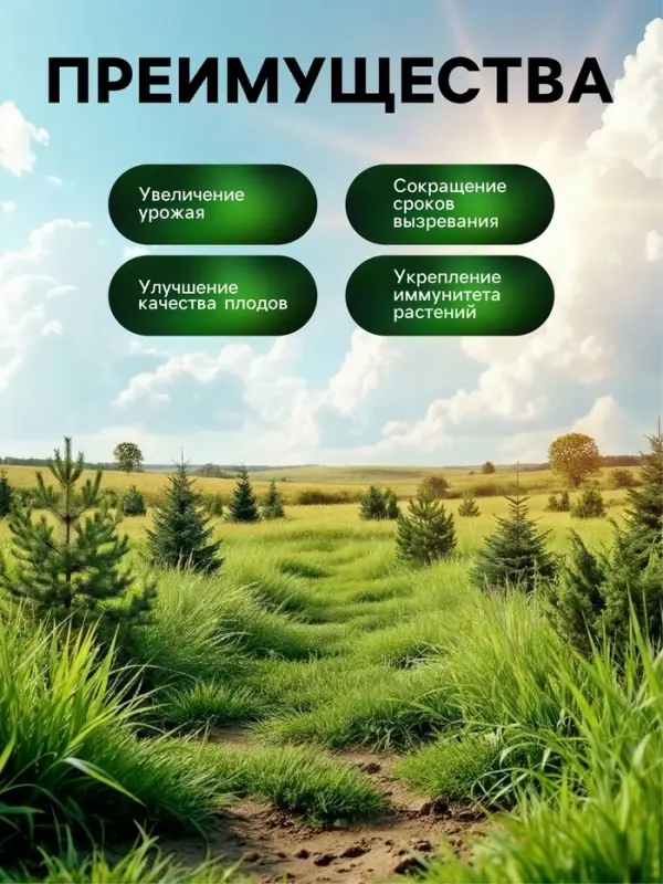 Органическое удобрение гранулированное для хвойных Greenlife, 800 г