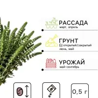 Семена Тимьян ползучий, чабрец, 0.05 г, &laquo;Престиж семена&raquo;