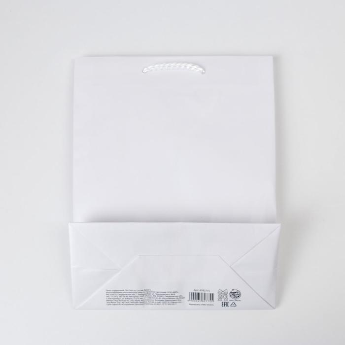 Пакет подарочный ламинированный, упаковка, «Белый», MS 18 х 23 х 8 см