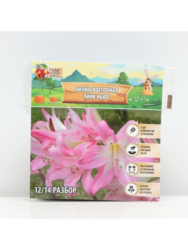 Лилия Восточная Pink News, луковица в пакете с перфорацией, р-р 12/14, 3 шт.