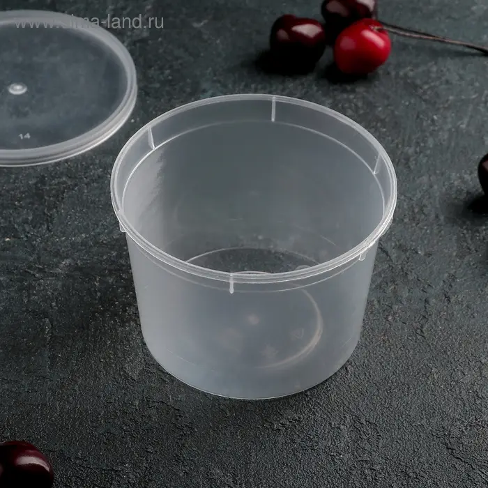 Контейнер пластиковый одноразовый «Супница», 500 мл, прозрачный Контейнер пластиковый одноразовый «Супница», 500 мл, прозрачный